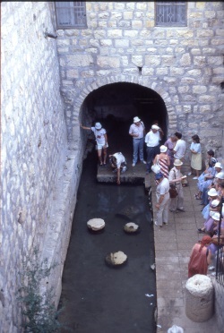 Karen with hand in traditional Pool of Shiloakh